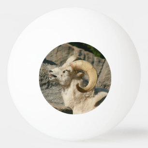 Bolinha De Ping Pong Carneiro ou Ram Engraçado Rindo