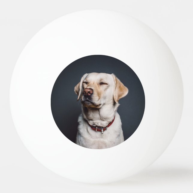 Bolinha De Ping Pong Carregar a sua fotografia (Frente)