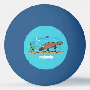 Bolinha De Ping Pong Cartografia de natação em planalto