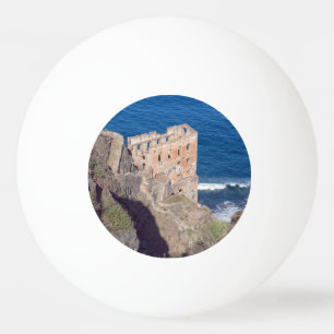 Bolinha De Ping Pong Casa Hamilton