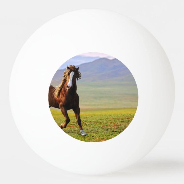 Bolinha De Ping Pong Cavalo (Frente)