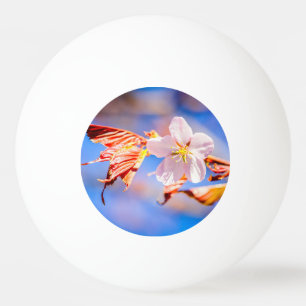 Bolinha De Ping Pong Céu Azul Rosa Sakura Flor