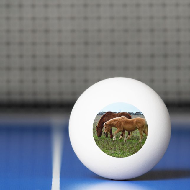 Bolinha De Ping Pong Chestnut Mare E Palomino Foal, (Líquido)