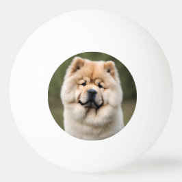 Bolinha De Ping Pong Chow Chow