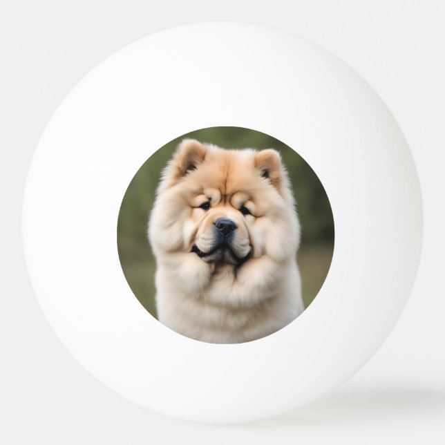 Bolinha De Ping Pong Chow Chow (Frente)