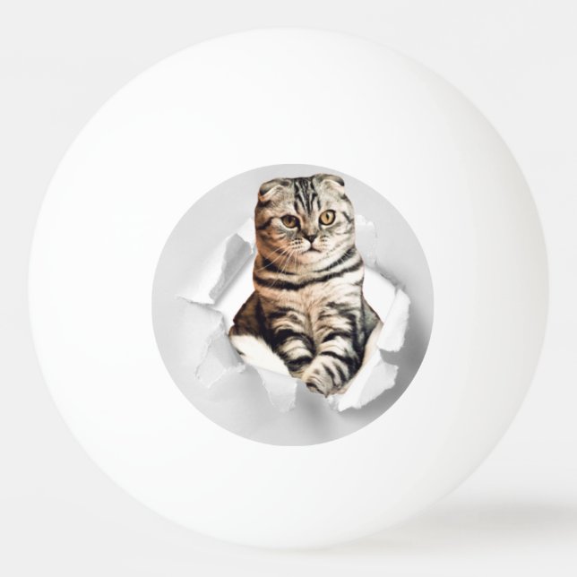 Bolinha De Ping Pong Cinza Engraçada Gato Povoando através da Ilusão do (Frente)