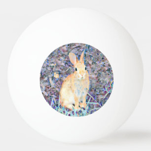 Bolinha De Ping Pong Coelho