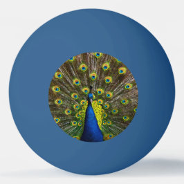 Bolinha De Ping Pong Colorful peacock