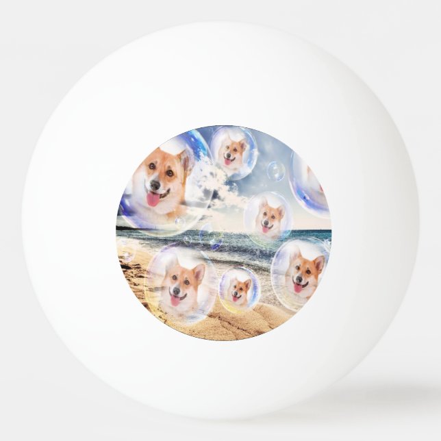 Bolinha De Ping Pong Corgis da praia (Frente)