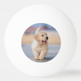 Bolinha De Ping Pong Crie seu próprio animal de estimação personalizado