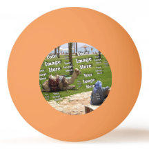 🤍 Crie seu próprio Modelo personalizado