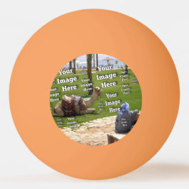 Bolinha De Ping Pong 🤍 Crie seu próprio Modelo personalizado