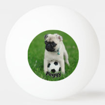 Crie Seu Próprio Nome de Foto Personalizada de Ani
