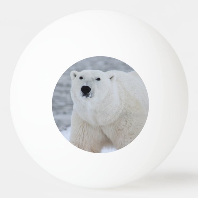 Bolinha De Ping Pong Crie sua própria foto personalizada (Frente)