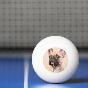 Bolinha De Ping Pong Crie Sua Própria Foto Personalizada de Animal de E