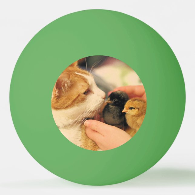 Bolinha De Ping Pong Cuecas (Frente)