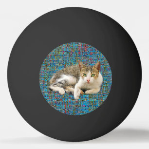 Bolinha De Ping Pong Cute Kitty