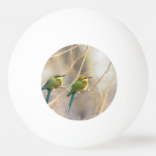 Bolinha De Ping Pong Dois Bee-Comedores