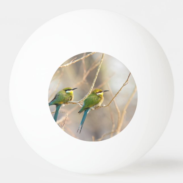 Bolinha De Ping Pong Dois Bee-Comedores (Verso)