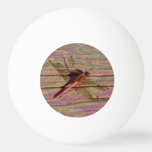 Bolinha De Ping Pong Dragonfly Colorful