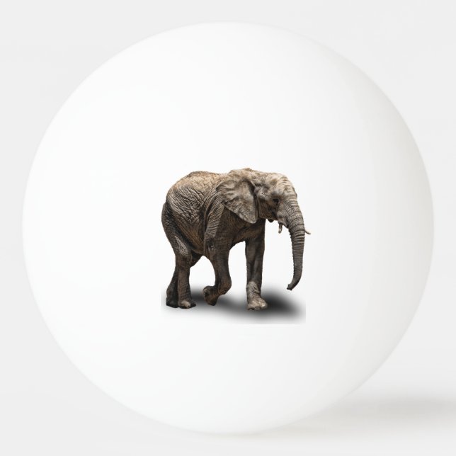 BOLINHA DE PING PONG ELEFANTE (Frente)