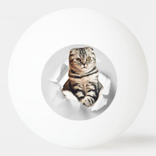 Bolinha De Ping Pong Engraçado ilusão de papel rasgado por um gato gr