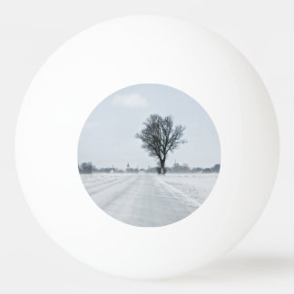 Bolinha De Ping Pong Estrada de inverno rural
