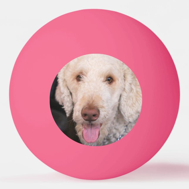 Bolinha De Ping Pong Felpudo (Frente)