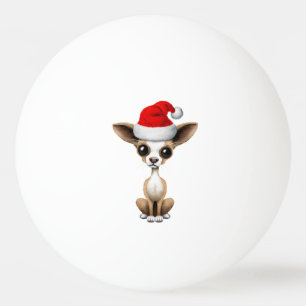 Bolinha De Ping Pong Filhote de cachorro da chihuahua que veste um