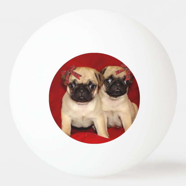 Bolinha De Ping Pong Filhotes de cachorro do pug do Natal (Frente)