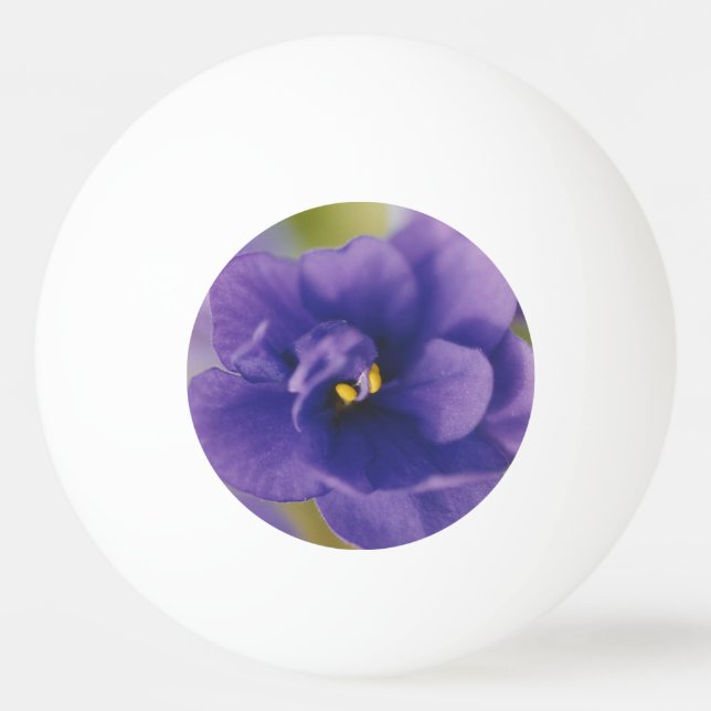 Bolinha De Ping Pong Flor Azul Sangrando de Violet Saintpaulia Zoomed (Frente)