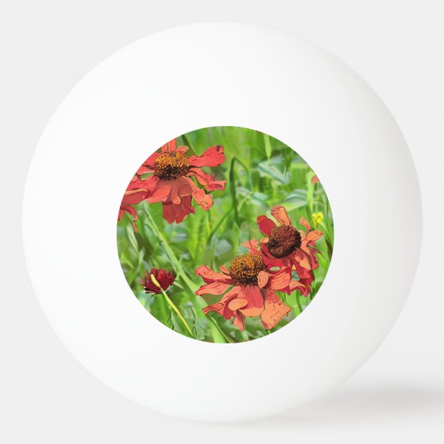 BOLINHA DE PING PONG FLOR DE RUDBECKIA VERMELHA (Frente)