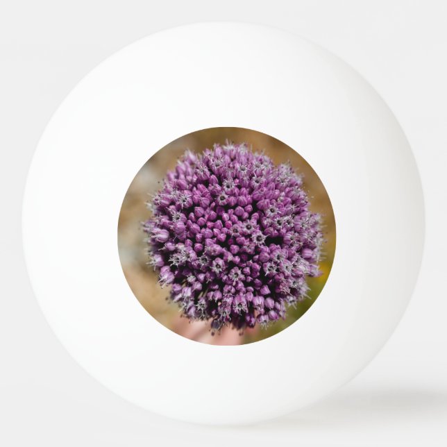 Bolinha De Ping Pong Flor selvagem (Verso)