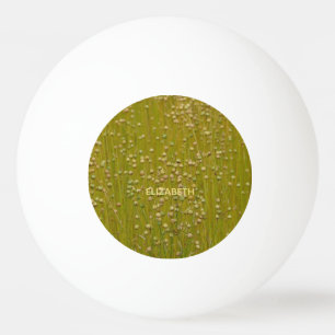 Bolinha De Ping Pong Florais verdes multicoloridos personalizados