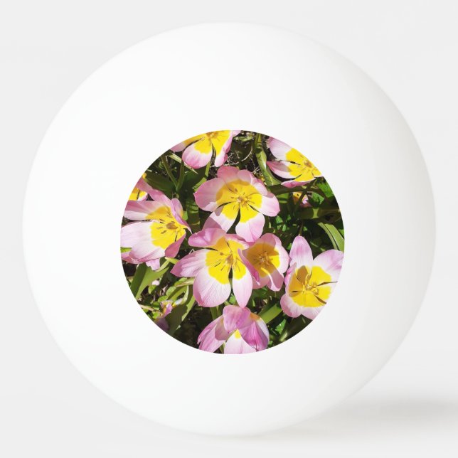 Bolinha De Ping Pong Flores Rosa e Amarelo (Frente)