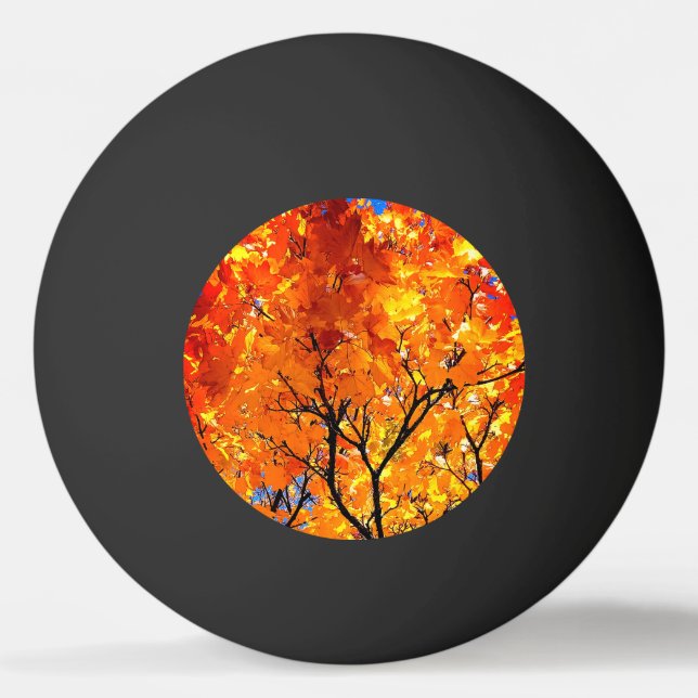 Bolinha De Ping Pong Folhas de laranja (Frente)