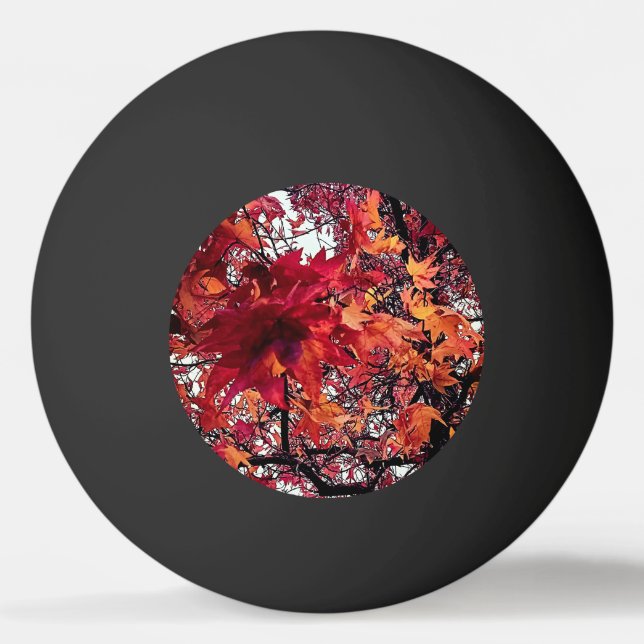 Bolinha De Ping Pong Folhas vermelhas e laranja (Frente)