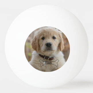 BOLINHA DE PING PONG FOTO DE CACHORRINHO DE CÃO NOME OSSO MELHOR MÃE PA