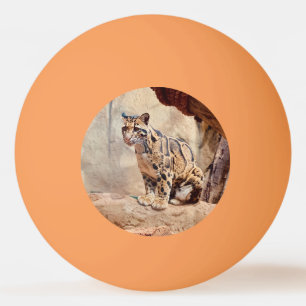 Bolinha De Ping Pong foto de leopardo nebuloso natureza vida selvagem e