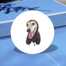 Foto engraçada personalizada do seu cão