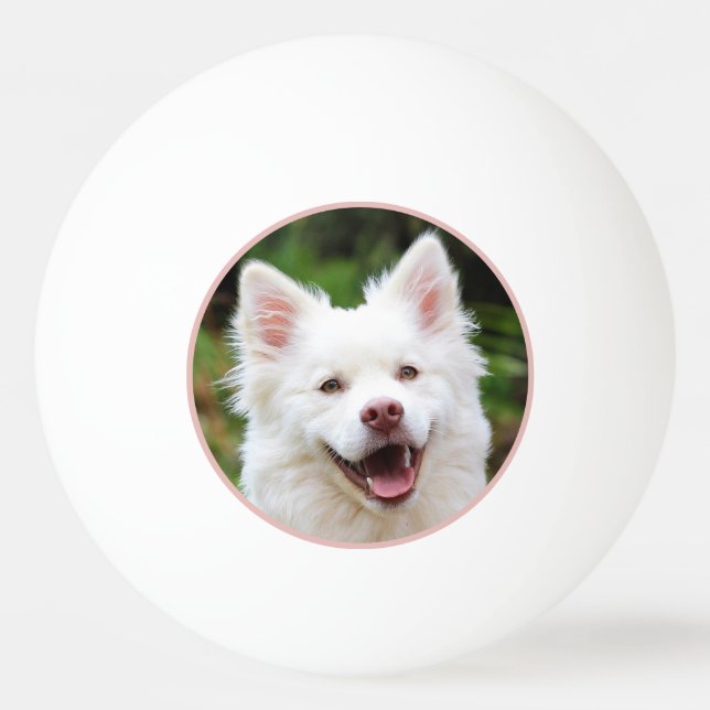 Bolinha De Ping Pong Foto Pet Personalizada (Frente)