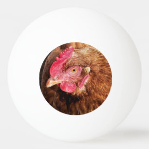 BOLINHA DE PING PONG FRANGO CUTO