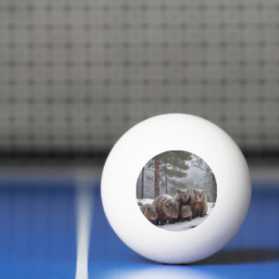Bolinha De Ping Pong Frozen Burrow: Família de Wombat Australiana