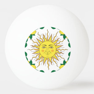 Bolinha De Ping Pong Frutas Tropicais De Limão, Face Solar.