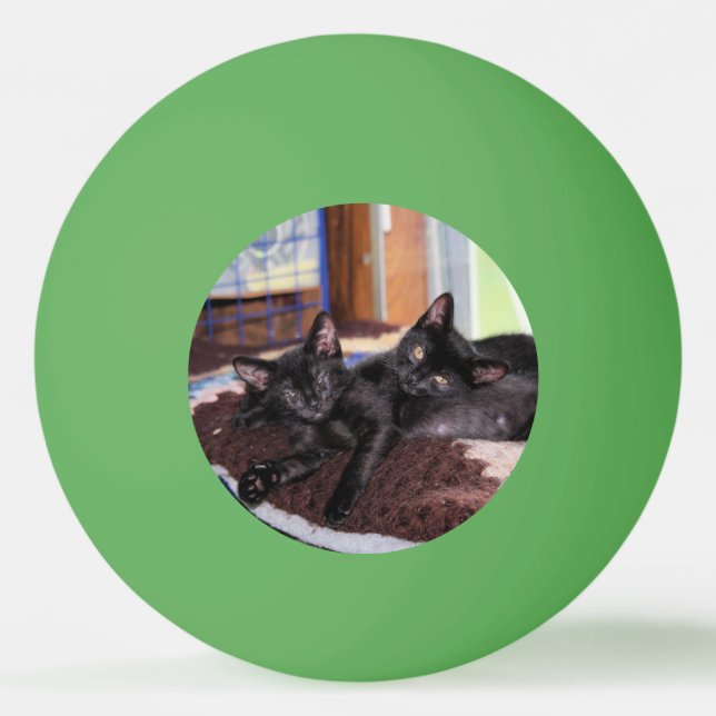 Bolinha De Ping Pong Gatinhos (Frente)