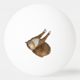 Bolinha De Ping Pong Gato de Sol de Cabeça para Baixo