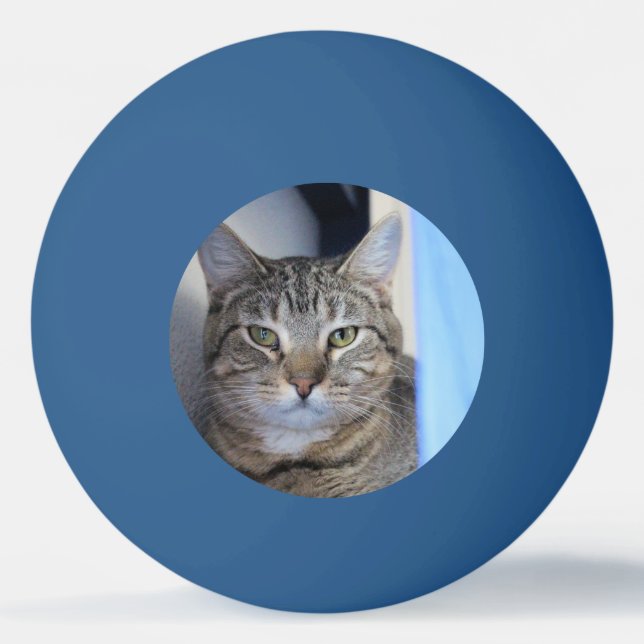 Bolinha De Ping Pong Gato Ping Pong Ball (Frente)