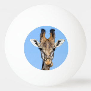 Bolinha De Ping Pong Girafa
