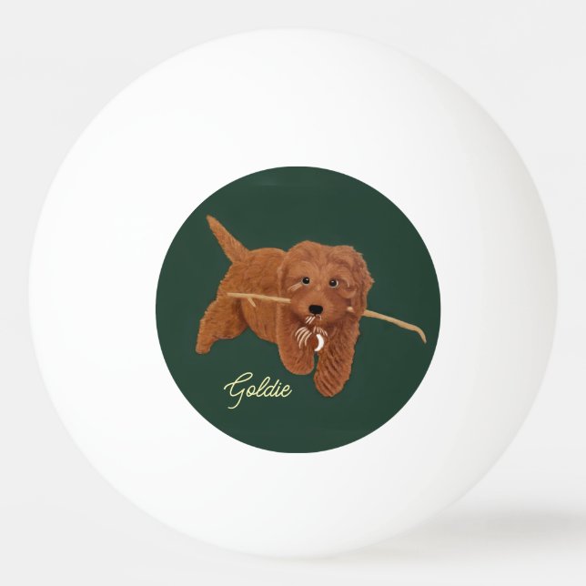 Bolinha De Ping Pong Goldie Golden Doodle (Frente)
