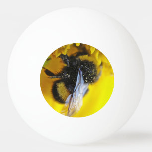 Bolinha De Ping Pong Grande abelha